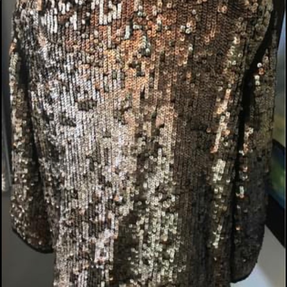 ๐๐๐ BNWT TALBOTS BRONZE SEQUIN BLAZER / JACKET SIZE 14 ๐๐๐ - Picture 5 of 8
